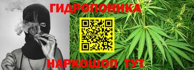 круглые Лесосибирск