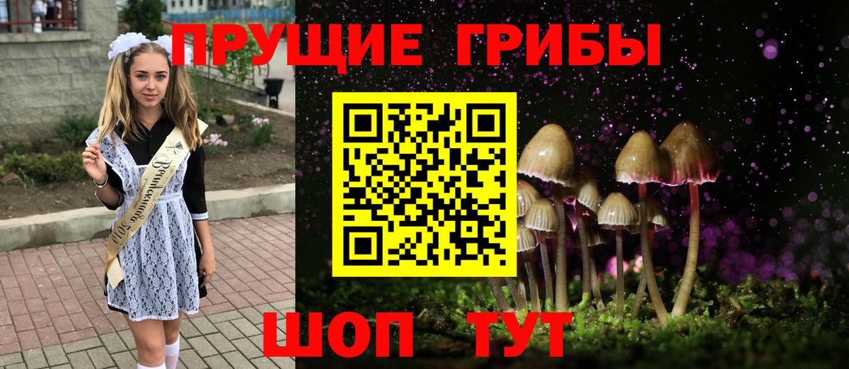 Галлюциногенные грибы мицелий Унеча